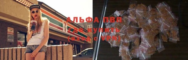 гидра Белокуриха