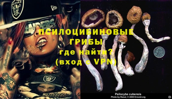 спиды Белоозёрский