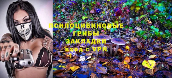 спиды Белоозёрский