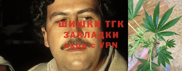 гидра Белокуриха